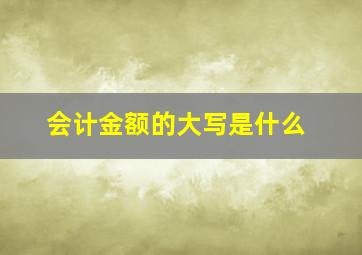 会计金额的大写是什么