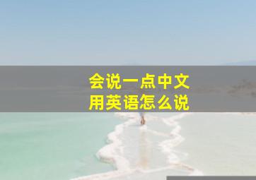 会说一点中文用英语怎么说