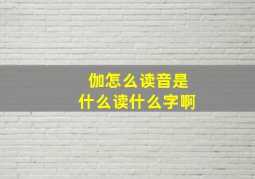 伽怎么读音是什么读什么字啊