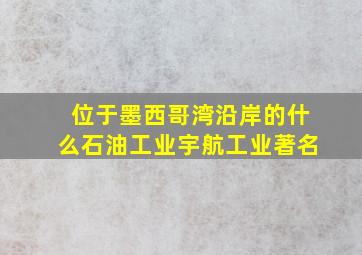 位于墨西哥湾沿岸的什么石油工业宇航工业著名