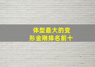 体型最大的变形金刚排名前十