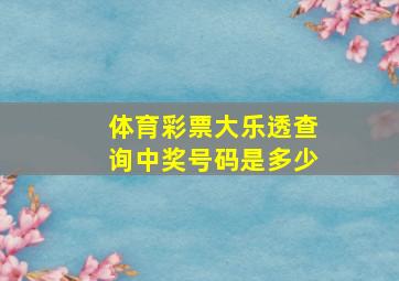 体育彩票大乐透查询中奖号码是多少