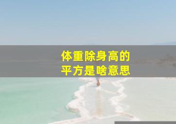 体重除身高的平方是啥意思