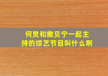 何炅和撒贝宁一起主持的综艺节目叫什么啊