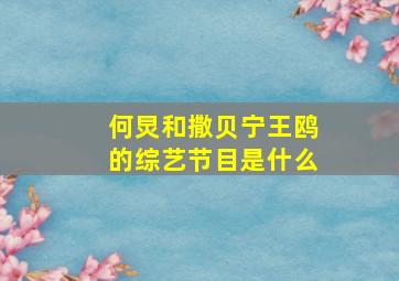 何炅和撒贝宁王鸥的综艺节目是什么