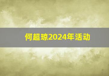 何超琼2024年活动