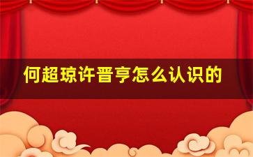 何超琼许晋亨怎么认识的