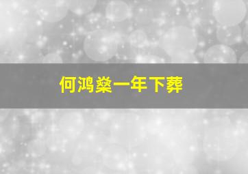 何鸿燊一年下葬