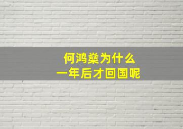 何鸿燊为什么一年后才回国呢