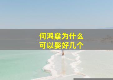 何鸿燊为什么可以娶好几个