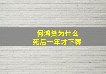 何鸿燊为什么死后一年才下葬