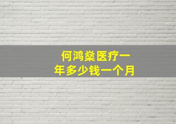 何鸿燊医疗一年多少钱一个月