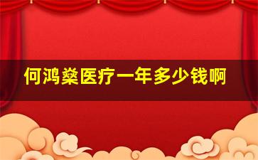 何鸿燊医疗一年多少钱啊