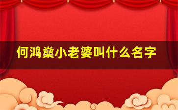 何鸿燊小老婆叫什么名字