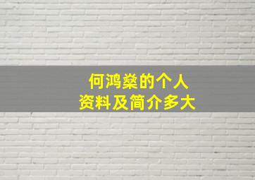 何鸿燊的个人资料及简介多大