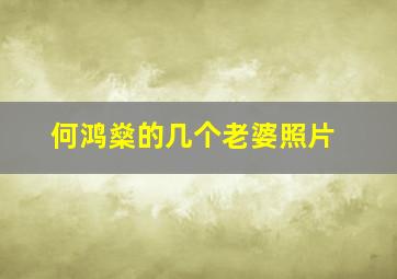 何鸿燊的几个老婆照片