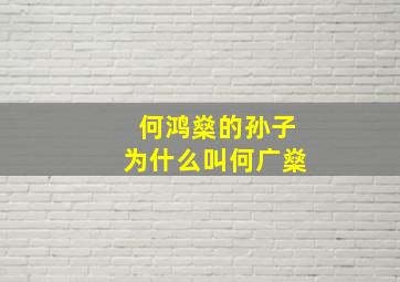 何鸿燊的孙子为什么叫何广燊