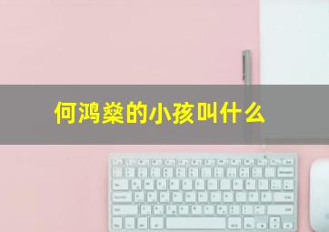 何鸿燊的小孩叫什么