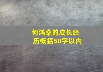 何鸿燊的成长经历概括50字以内