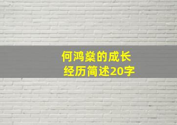 何鸿燊的成长经历简述20字