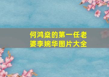 何鸿燊的第一任老婆李婉华图片大全