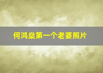 何鸿燊第一个老婆照片