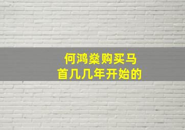 何鸿燊购买马首几几年开始的