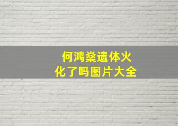 何鸿燊遗体火化了吗图片大全