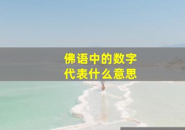 佛语中的数字代表什么意思