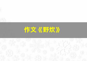 作文《野炊》