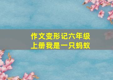 作文变形记六年级上册我是一只蚂蚁