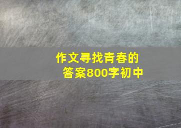 作文寻找青春的答案800字初中