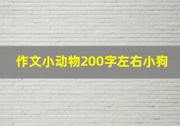 作文小动物200字左右小狗