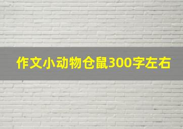 作文小动物仓鼠300字左右