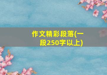 作文精彩段落(一段250字以上)