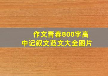 作文青春800字高中记叙文范文大全图片