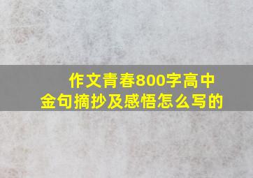 作文青春800字高中金句摘抄及感悟怎么写的