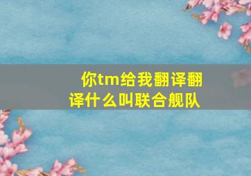 你tm给我翻译翻译什么叫联合舰队