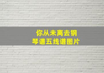 你从未离去钢琴谱五线谱图片