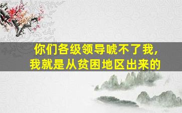 你们各级领导唬不了我,我就是从贫困地区出来的