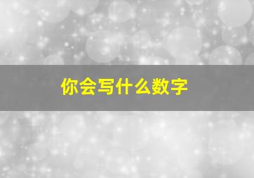 你会写什么数字