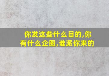 你发这些什么目的,你有什么企图,谁派你来的