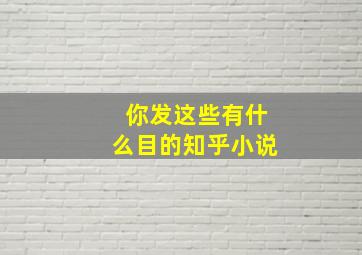 你发这些有什么目的知乎小说