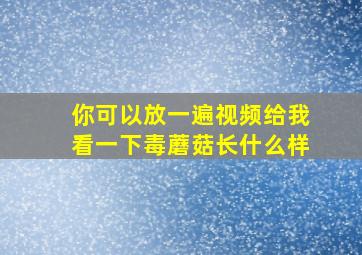 你可以放一遍视频给我看一下毒蘑菇长什么样