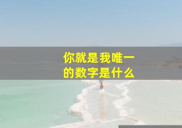 你就是我唯一的数字是什么