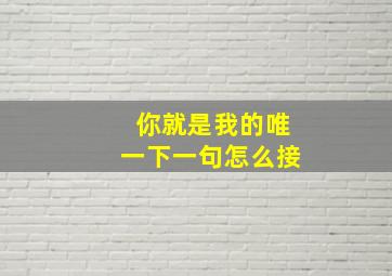 你就是我的唯一下一句怎么接