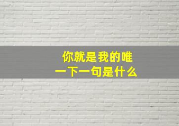 你就是我的唯一下一句是什么