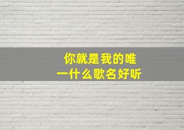 你就是我的唯一什么歌名好听