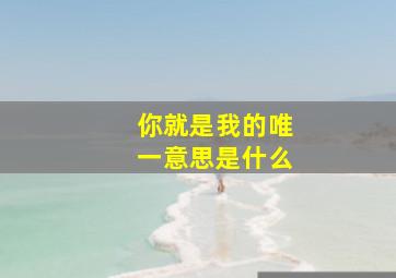 你就是我的唯一意思是什么