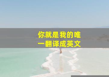 你就是我的唯一翻译成英文